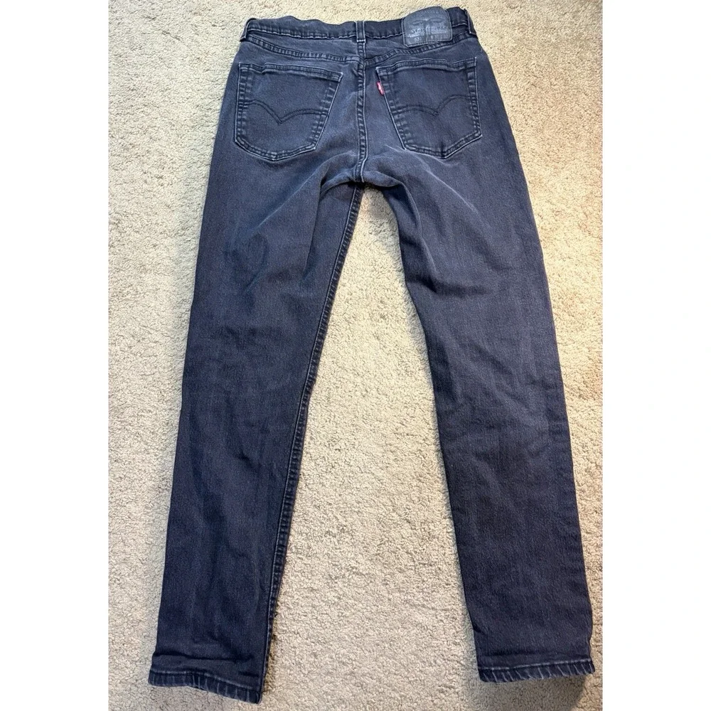 Levis levis 531